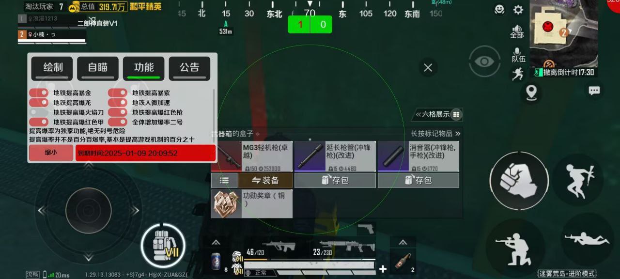 和平精英「路易威登」外挂